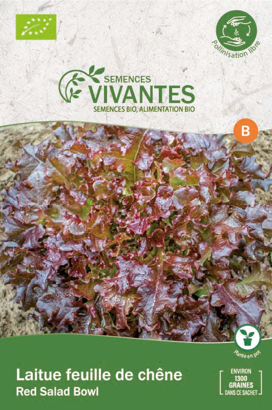 Semences Vivantes -- Laitue feuille de chêne Red Salad Bowl Bio - sachet de 1300 graines