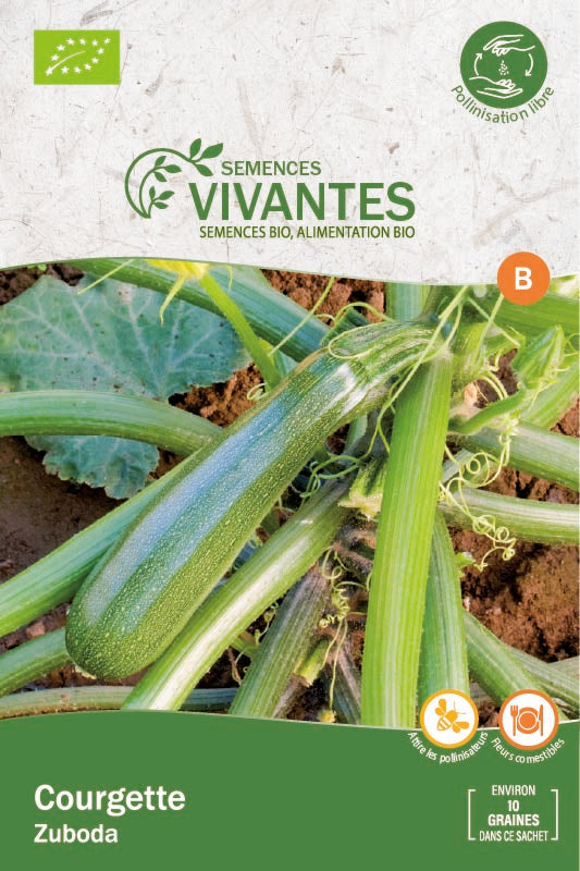 Semences Vivantes -- Courgette Zuboda Bio - sachet de 10 graines